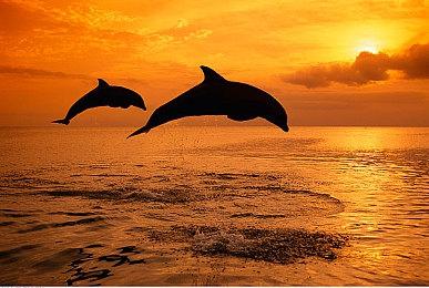 《神奇女侠》曾打算用反向复仇女神系统 重启后更像《战神》